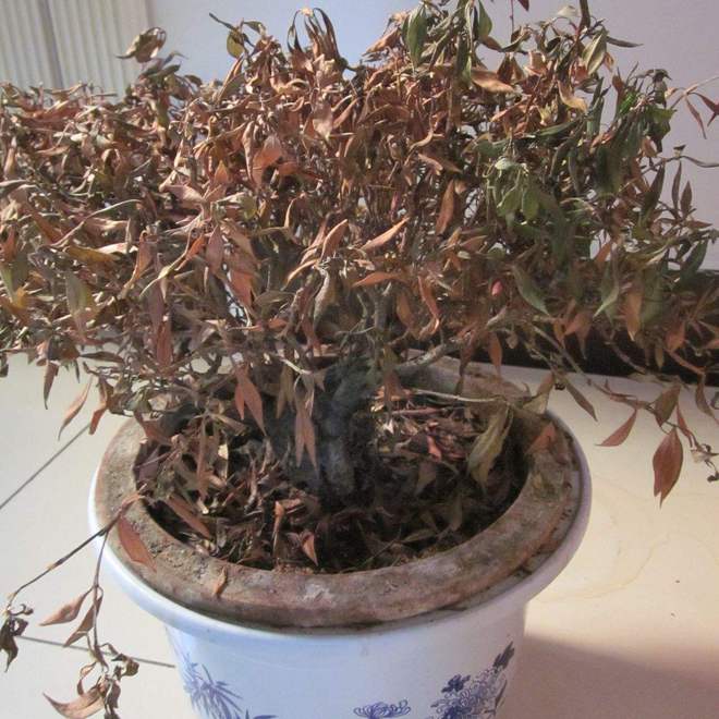 家里有这5种物品一定要尽早处理掉！pg电子中国俗话说：“财不入脏屋”(图4)